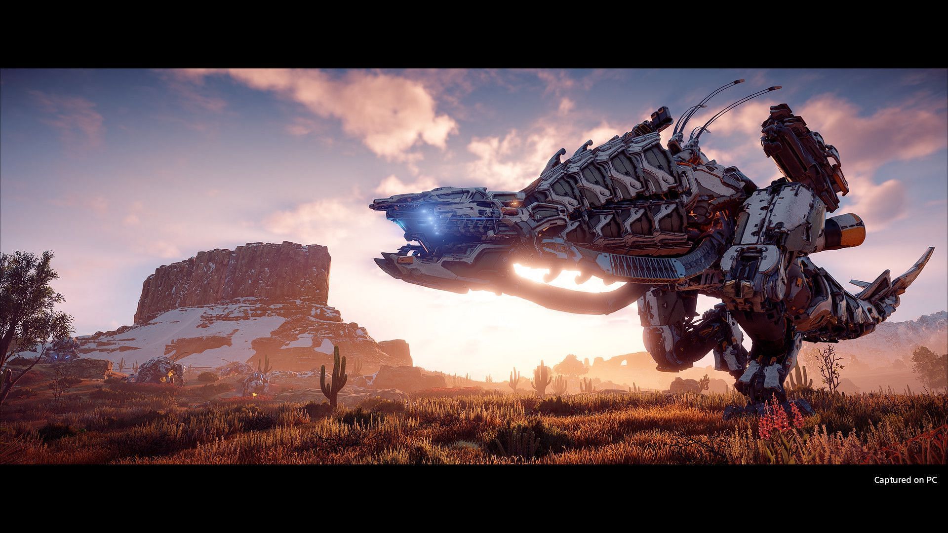 Horizon Zero Dawn (Image via PlayStation)